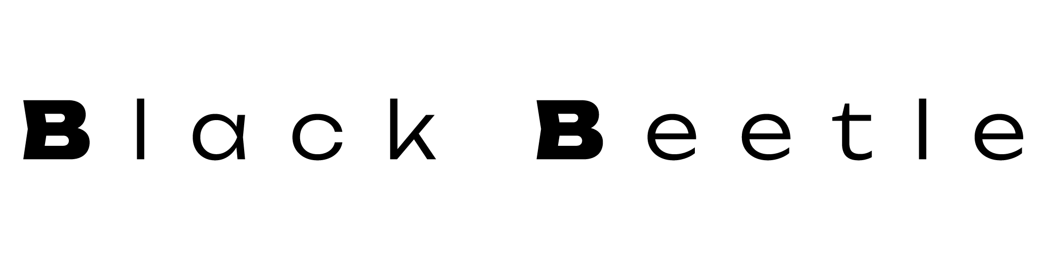 Black Beetle